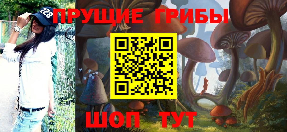 Псилоцибиновые грибы GOLDEN TEACHER  Вход с VPN  Бугуруслан  Псилоцибиновые грибы Magic Shrooms 